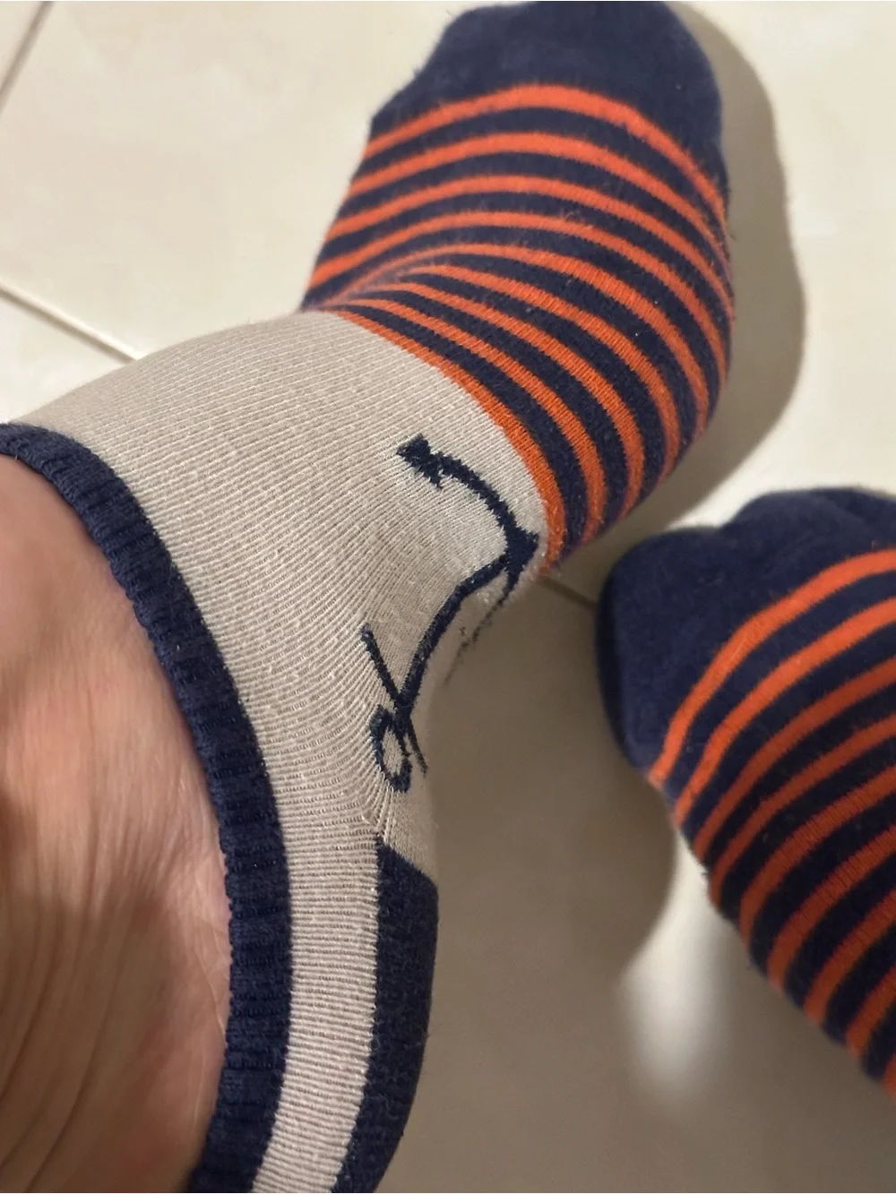 Striped Navy & Orange Anchor No-Show Socks Aeropostale
